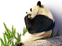 免费抖音去水印,免费抖音解析网站,抖音解析,抖音去水印解析网站,视频去水印,抖音短视频,抖音,提供更加优志的解析服务！